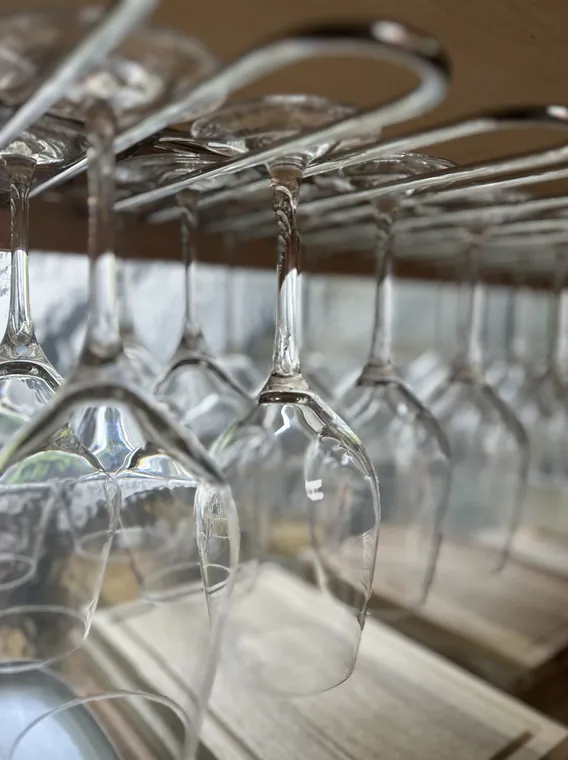 Wine glasses set out for tasting